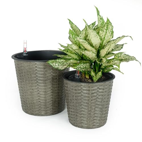 2-Pack Self-watering Wicker Decor Planter for Indoor and Outdoor - Round - Grey Media 1