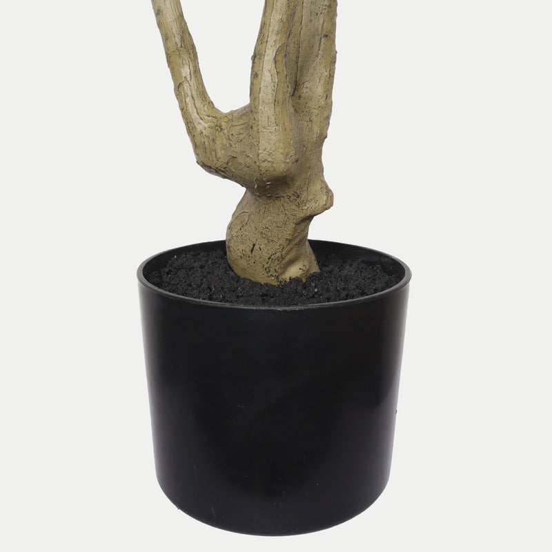Lifelike Artificial Olive Tree with Black Plastic Pot, Faux Indoor Plant in Green Fabric Leaves, 60-Inch Tall for Home Living Room Decor