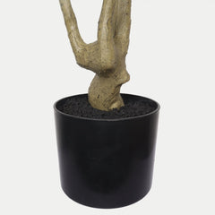 Lifelike Artificial Olive Tree with Black Plastic Pot, Faux Indoor Plant in Green Fabric Leaves, 60-Inch Tall for Home Living Room Decor perspective