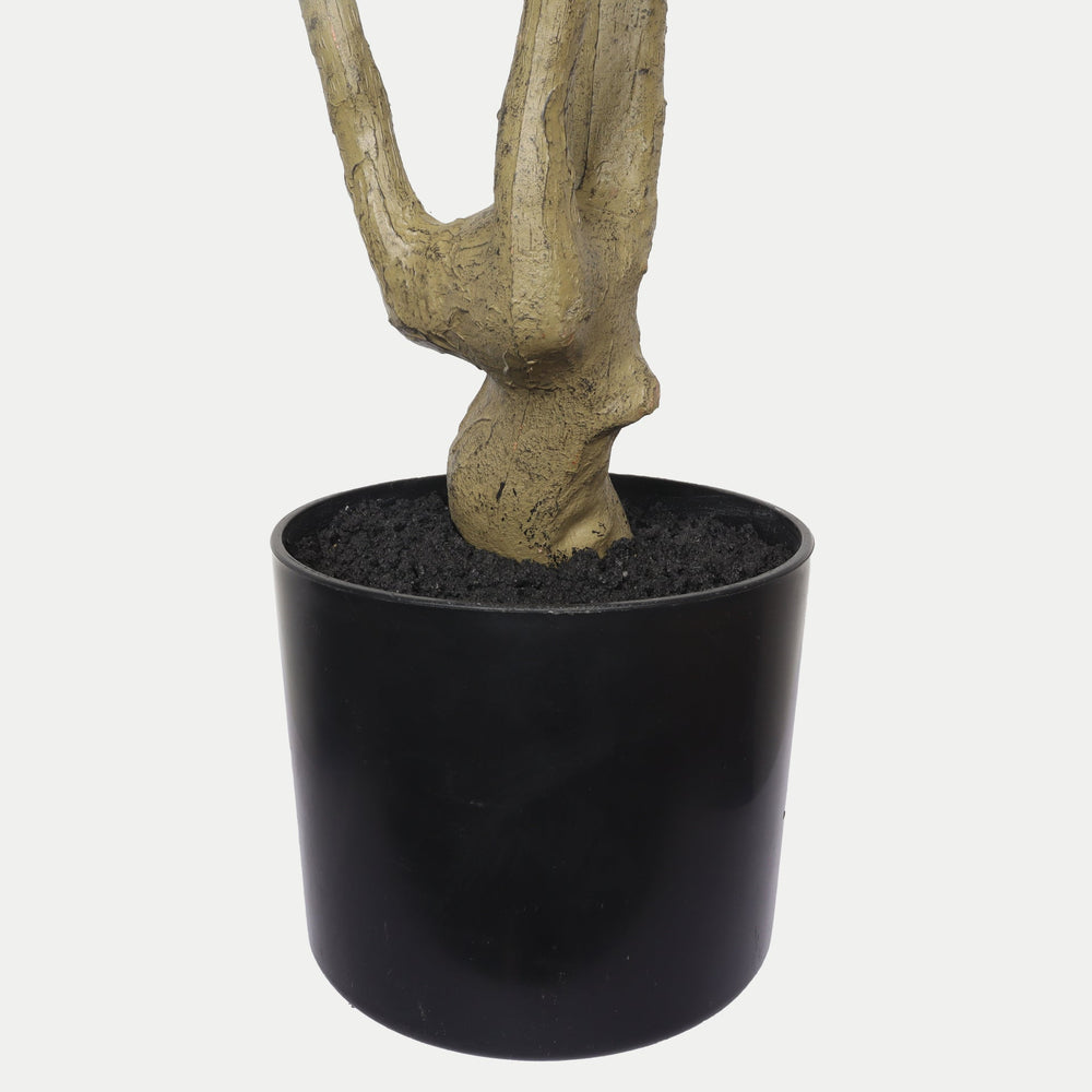 Lifelike Artificial Olive Tree with Black Plastic Pot, Faux Indoor Plant in Green Fabric Leaves, 60-Inch Tall for Home Living Room Decor Media 6