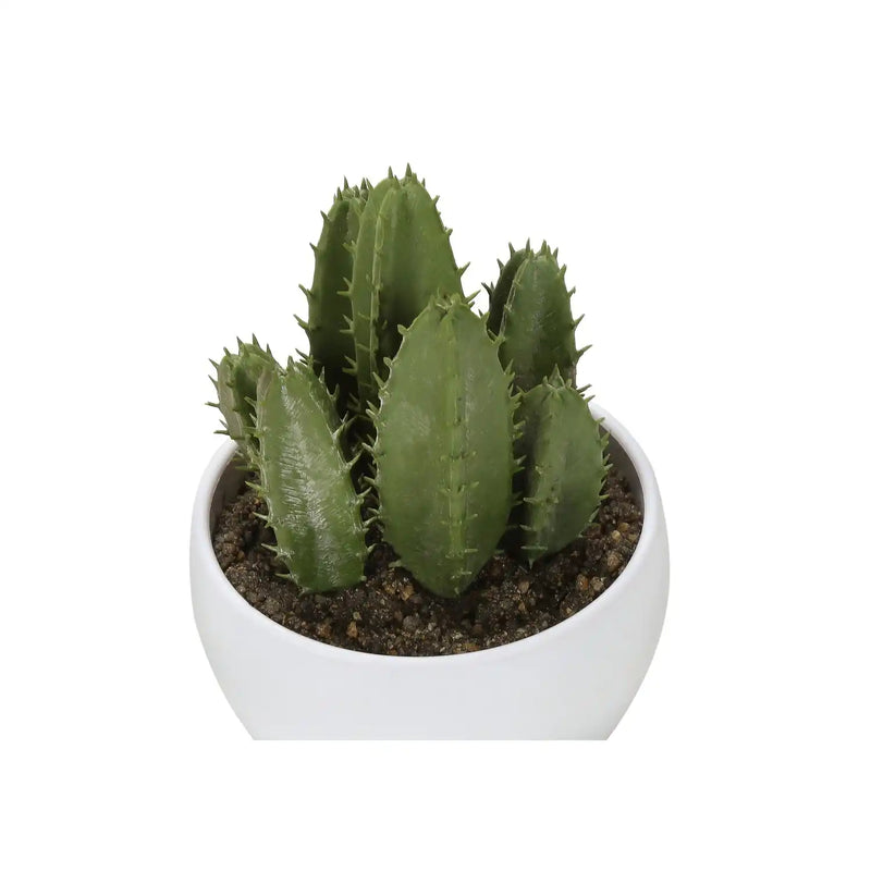Artificial Succulent Plants Set of 3, 6' Tall, Green Faux Indoor Decor in White Pots, Plastic, Tabletop Greenery