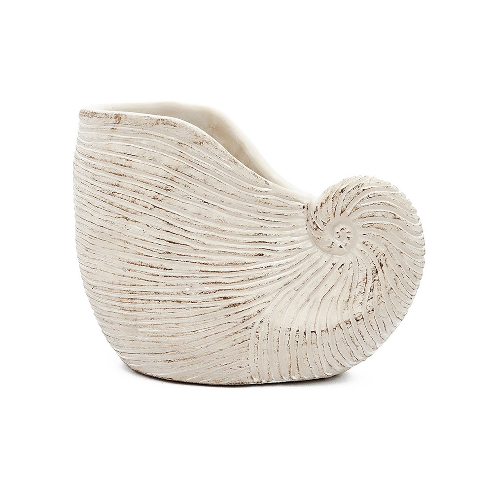 8.5x5.5x6.3' Sand and Cement Nautilus Shell Planter with Textured Beige Finish Media 4