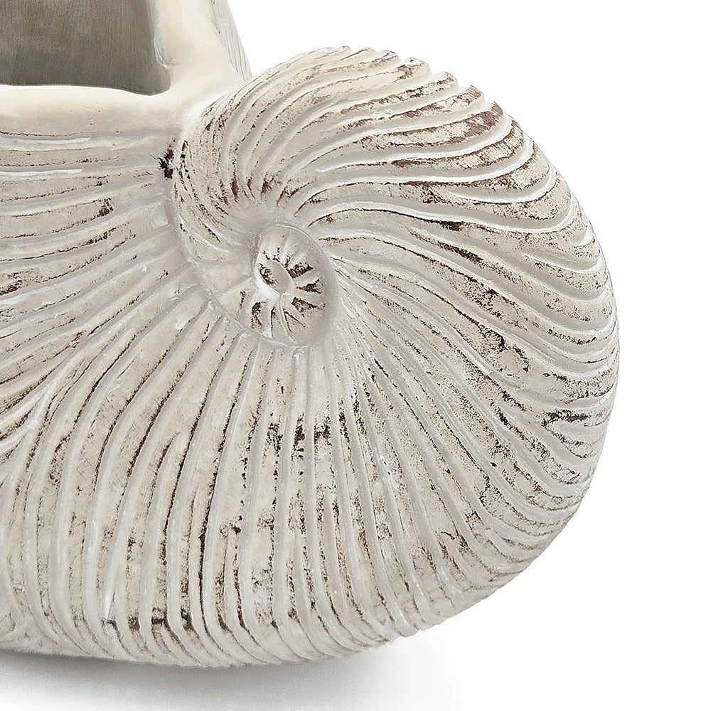 11.5x6.7x7.7' Sand and Cement Nautilus Shell Planter with Textured Beige Finish Media 7