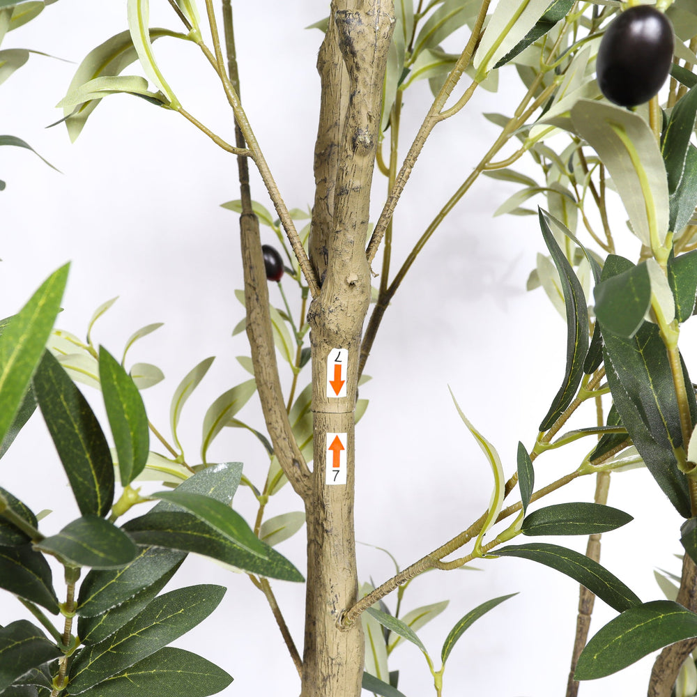 6' Artificial  Olive Tree in Plastic Black Pot, 1pc/set Media 6