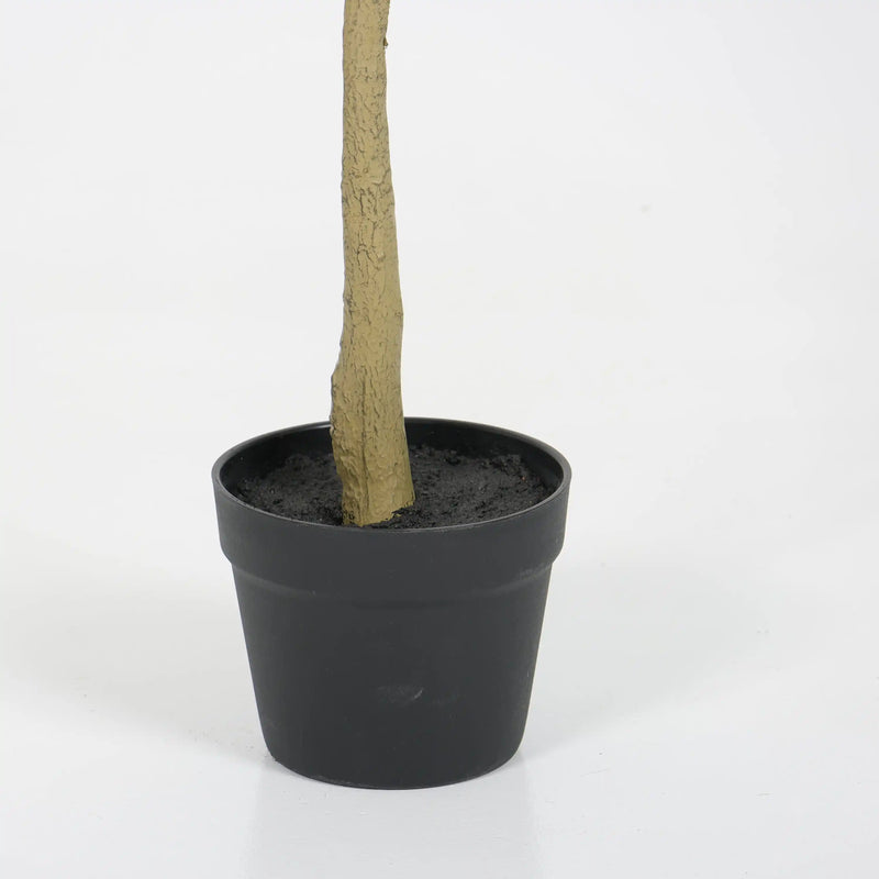 6ft Artificial Olive Tree, Realistic Faux Potted Plant in Black Pot, Indoor & Covered Outdoor Decorative Tree for Living Room and Office, 1pc/set
