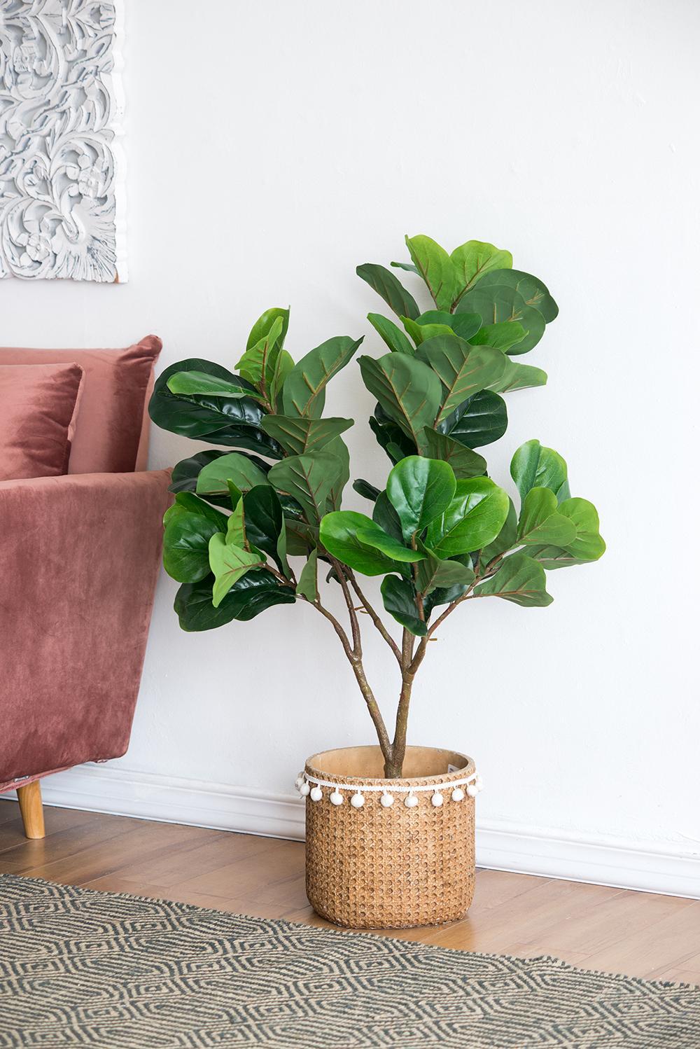 16.5x21x41.5'H Fiddle Fig Leaf Tree, 80 Leaves Media 6