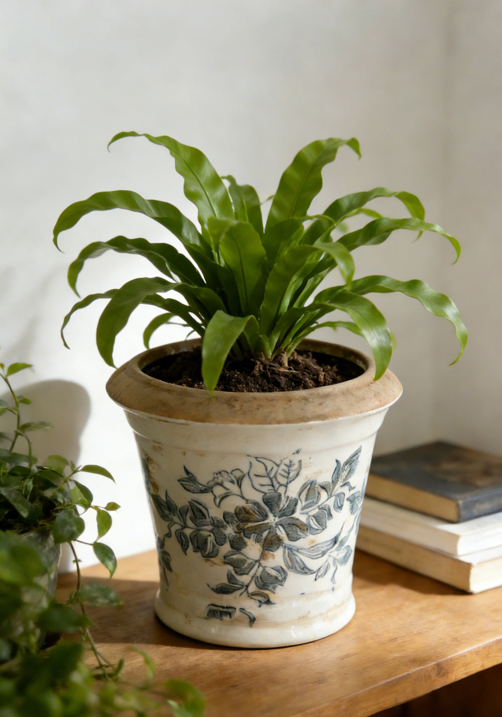 5.3x5.3x5.1' Ceramic Planter with Floral Pattern, Set of 4 Media 2