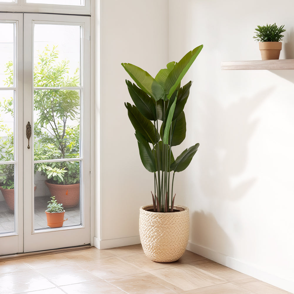 Artificial Bird of Paradise Plant 160cm Tall Faux Tropical Palm Tree Green Plastic Indoor Outdoor Decoration Media 2