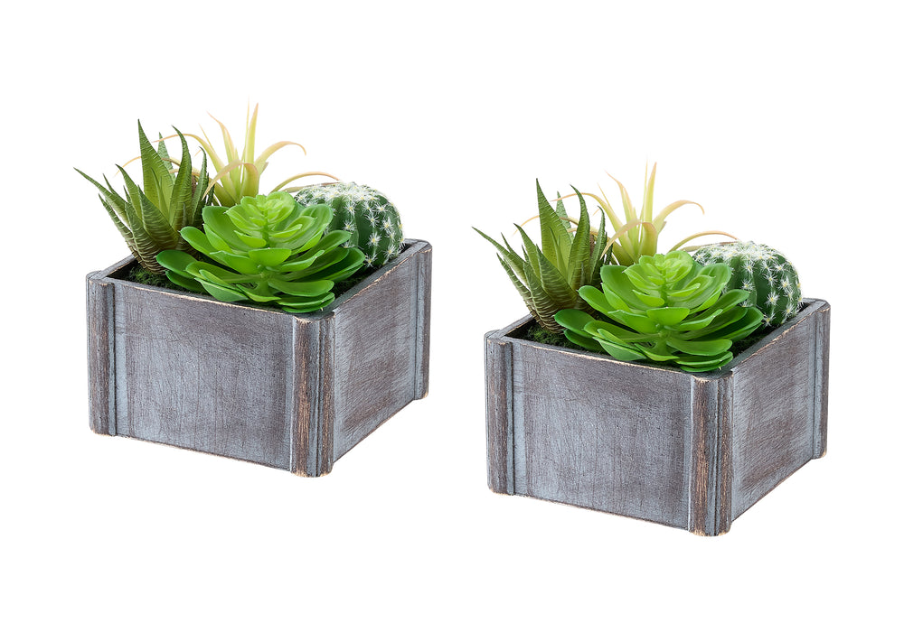 Artificial Plant, Set Of 2, 8' Tall, Succulent, Table, Grey Wooden Pots, Contemporary, Modern Media 2