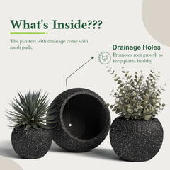 DTY Fiberstone Globe Planter Indoor Outdoor — Lightweight Sphere Ball Pot for Olive Tree, Monstera & Palm | Fiberglass Stone | UV Resistant, Drainage Hole | 2 Coco Mats | Black | 12.6" D × 10" H perspective
