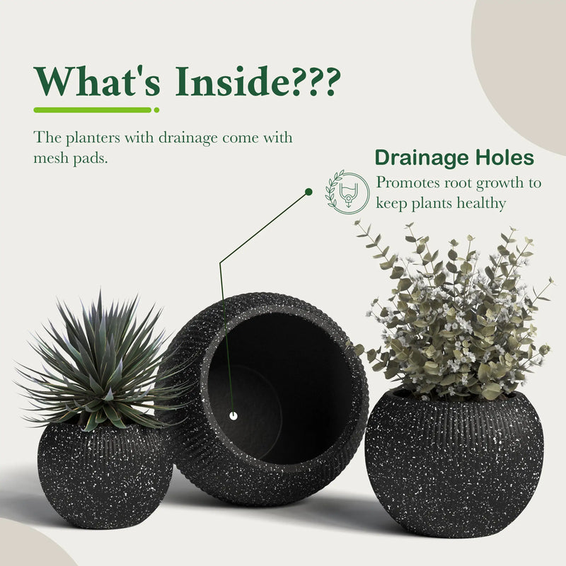 DTY Fiberstone Globe Planter Indoor Outdoor — Lightweight Sphere Ball Pot for Olive Tree, Monstera & Palm | Fiberglass Stone | UV Resistant, Drainage Hole | 2 Coco Mats | Black | 12.6" D × 10" H