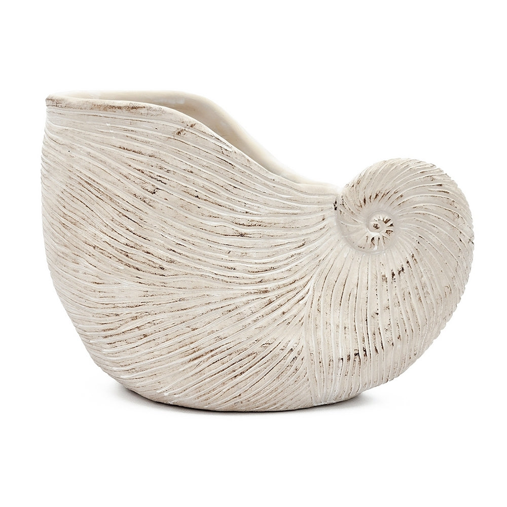 11.5x6.7x7.7' Sand and Cement Nautilus Shell Planter with Textured Beige Finish Media 5