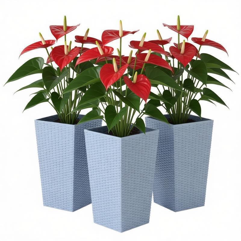 Plants Box Set of 3,Tall Planters Box,Plant Pots Media 5