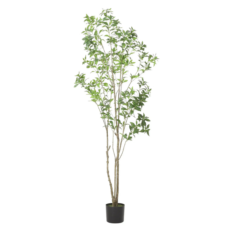 210CMARTIFICIAL PIERIS TREE