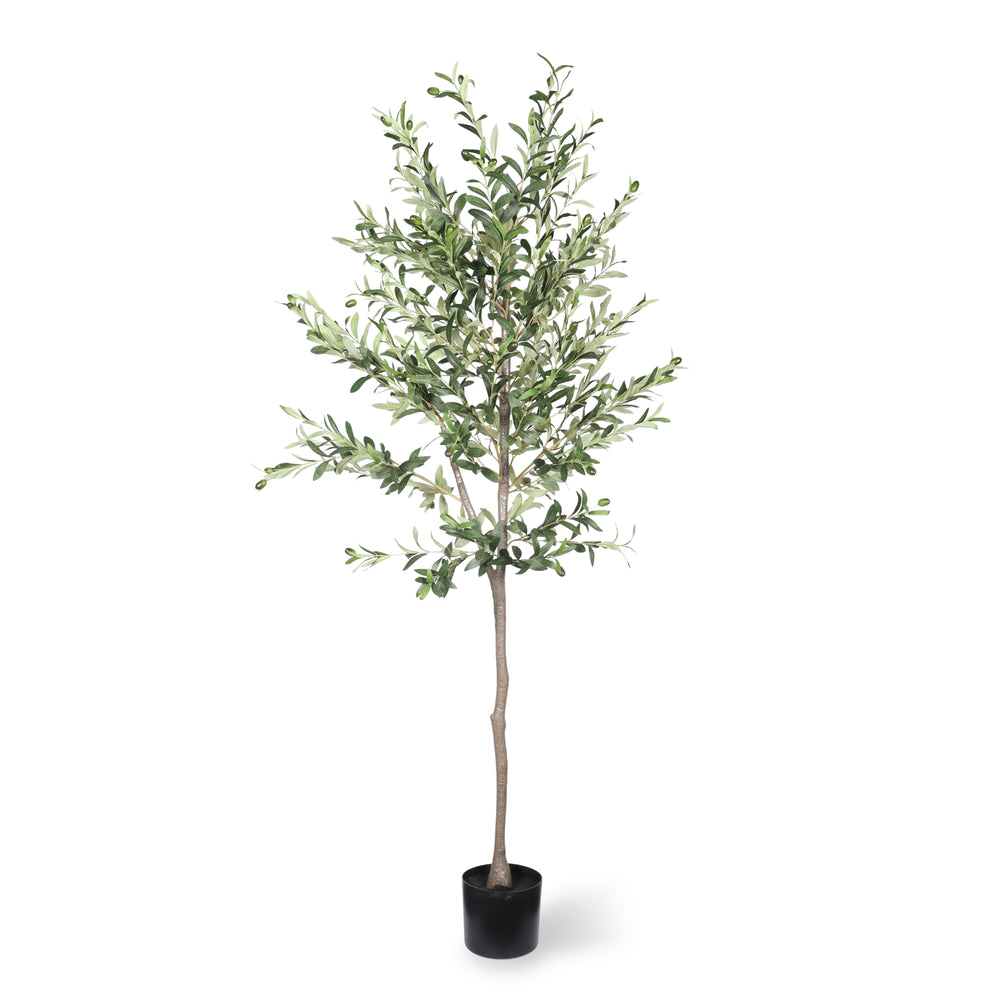 6FT Artificial Olive Tree in Black Plastic Pot, 1pc/set Media 6