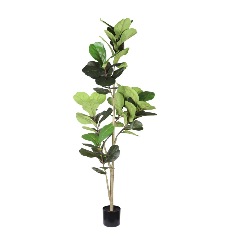 6FT Real Touch Fake Fiddle Leaf Fig Tree in Black Plastic Pot with Green Fabric Leaves, Indoor Decor for Home Office Living Room Corner
