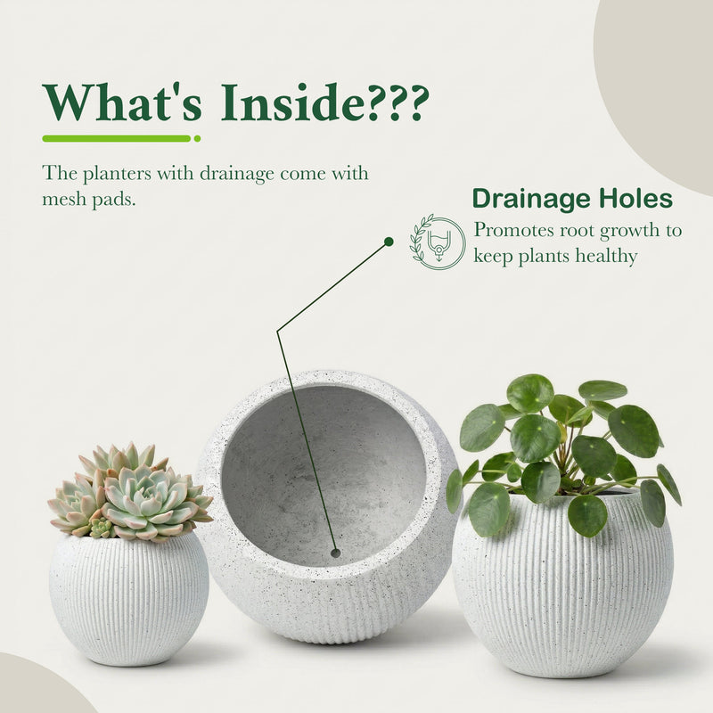 DTY Fiberstone Globe Planter Indoor Outdoor — Lightweight Sphere Ball Pot for Olive Tree, Monstera & Palm | Fiberglass Stone | UV Resistant, Drainage Hole | 2 Coco Mats | Black | 12.6" D × 10" H