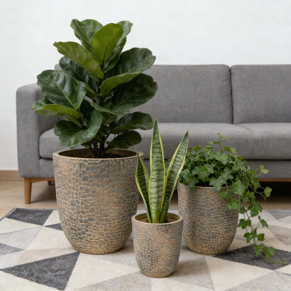 Large Outdoor Indoor Planter, 15.75'+11.4'+7.87' Dia Round Magnesium Oxide Planter Set of 3, Flower Pots with Drainage Holes,  Planter for Garden, Patio, Home Media 2