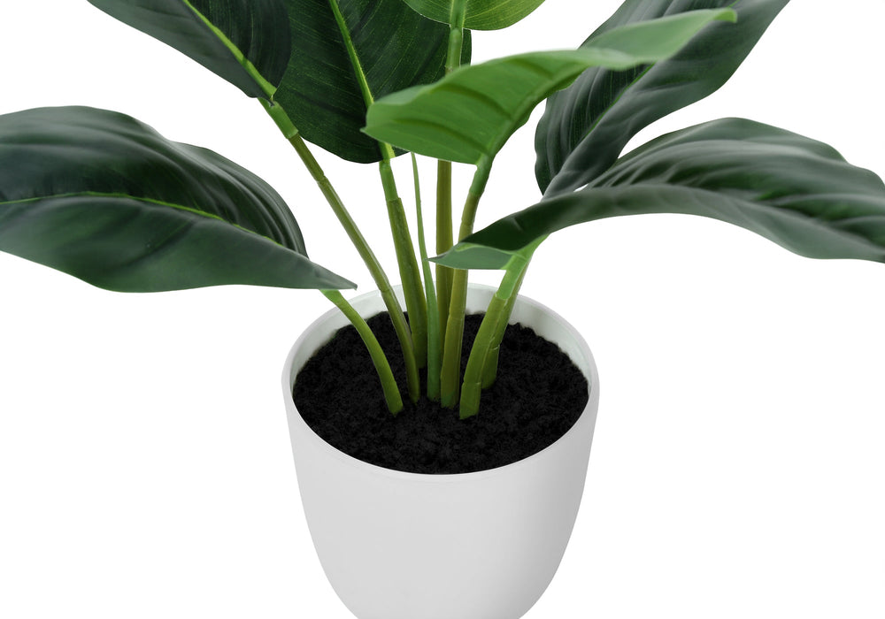 Artificial Plant, 17' Tall, Aureum, Indoor, Faux, Fake, Table, Greenery, Potted, Real Touch, Decorative, Green Leaves, White Pot Media 3