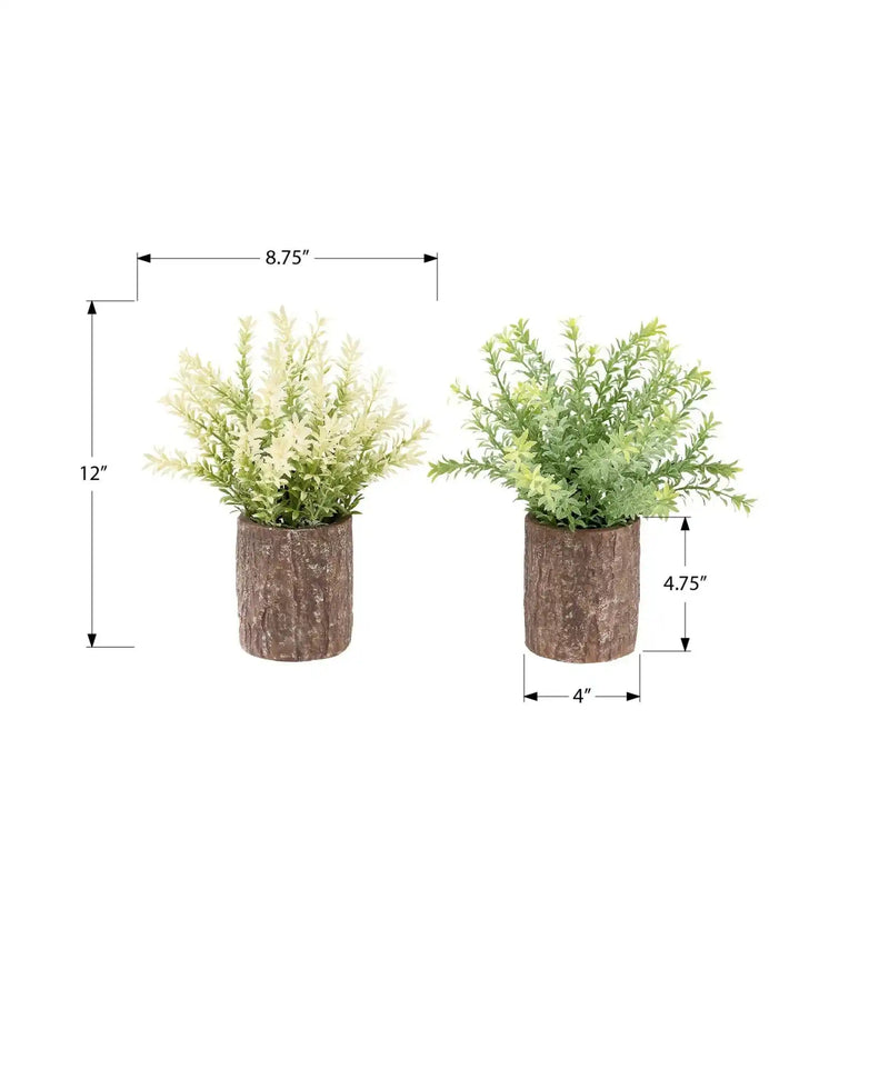 Artificial Plant, Set Of 2, 12' Tall, Mullberry Grass, Table, Brown Cement Pots, Contemporary, Modern