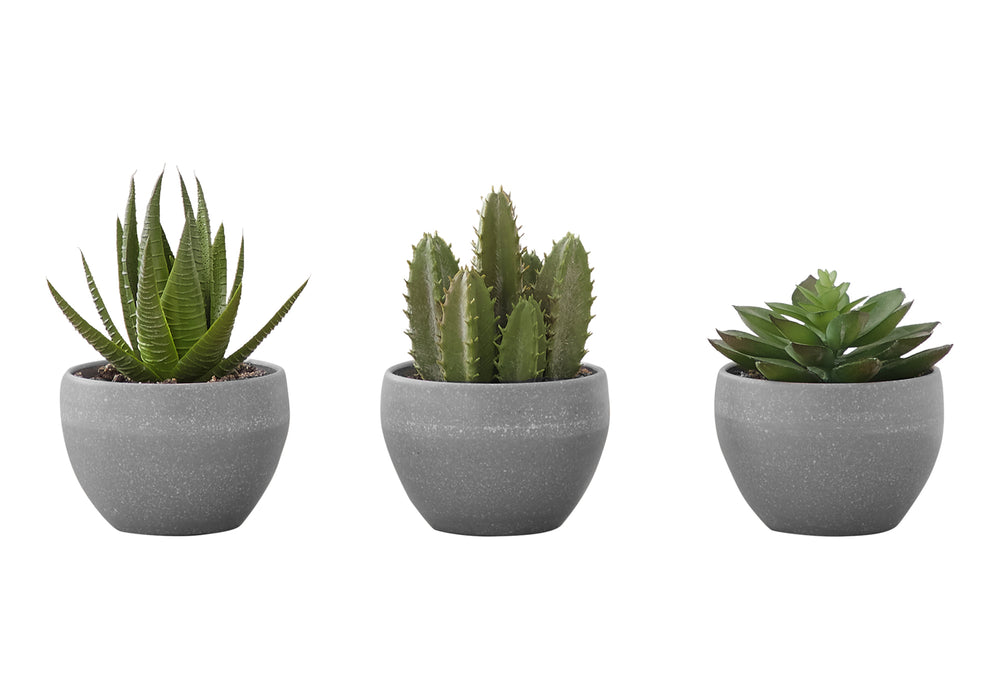 Artificial Plant, 6' Tall, Succulent, Indoor, Faux, Fake, Table, Greenery, Potted, Set Of 3, Decorative, Green Plants, Grey Cement Pots Media 2