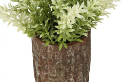 Artificial Plant, Set Of 2, 12' Tall, Mullberry Grass, Table, Brown Cement Pots, Contemporary, Modern perspective