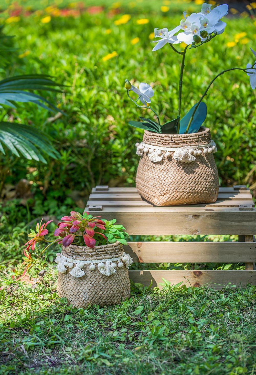 Set of 2 6.5x6.5x6' Brown Cement Planter with Woven Tassel Accent Media 8