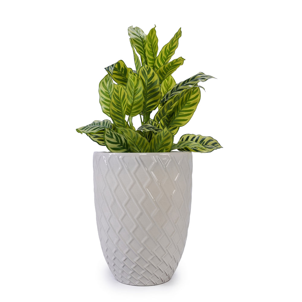 Ceramic Flowerpot, Modern Planter for Patio, Garden, Windowsill - White Media 5