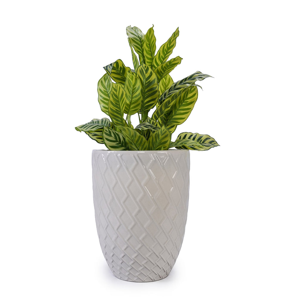 Ceramic Flowerpot, Modern Planter for Patio, Garden, Windowsill - White Media 5