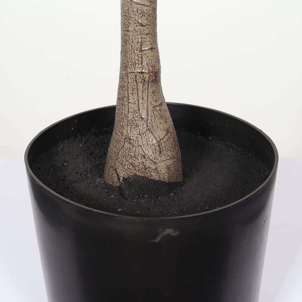 6FT Artificial Olive Tree in Black Plastic Pot, 1pc/set Media 15