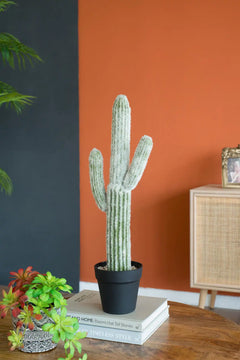 8x5x24.5'H Artificial Saguaro Cactus in Black Pot perspective