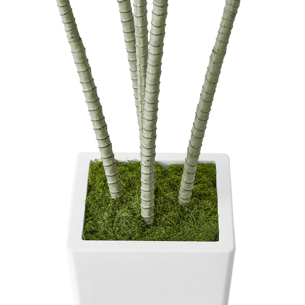 Artificial Dracaena Tree 5 ft, Fake Palm Tropical Plants with White Tall Planter, Faux Floor Silk Plant in Pot, Large Trees for Home Office Living Room Decor House Warming, Indoor Outdoor Media 6