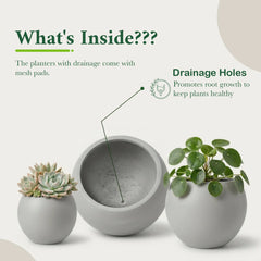 DTY Fiberstone Globe Planter Indoor Outdoor — Lightweight Sphere Ball Pot for Olive Tree, Monstera & Palm | Fiberglass Stone | UV Resistant, Drainage Hole | 2 Coco Mats | Black | 12.6" D × 10" H perspective