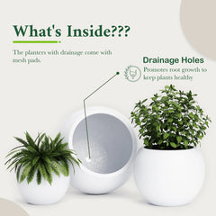 DTY Fiberstone Globe Planter Indoor Outdoor — Lightweight Sphere Ball Pot for Olive Tree, Monstera & Palm | Fiberglass Stone | UV Resistant, Drainage Hole | 2 Coco Mats | Black | 12.6" D × 10" H perspective