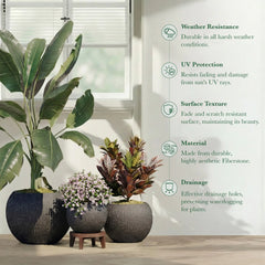 DTY Fiberstone Globe Planter Indoor Outdoor — Lightweight Sphere Ball Pot for Olive Tree, Monstera & Palm | Fiberglass Stone | UV Resistant, Drainage Hole | 2 Coco Mats | Black | 12.6" D × 10" H perspective