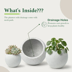 DTY Fiberstone Globe Planter Indoor Outdoor — Lightweight Sphere Ball Pot for Olive Tree, Monstera & Palm | Fiberglass Stone | UV Resistant, Drainage Hole | 2 Coco Mats | Black | 12.6" D × 10" H perspective