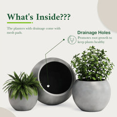 DTY Fiberstone Globe Planter Indoor Outdoor — Lightweight Sphere Ball Pot for Olive Tree, Monstera & Palm | Fiberglass Stone | UV Resistant, Drainage Hole | 2 Coco Mats | Black | 12.6" D × 10" H perspective