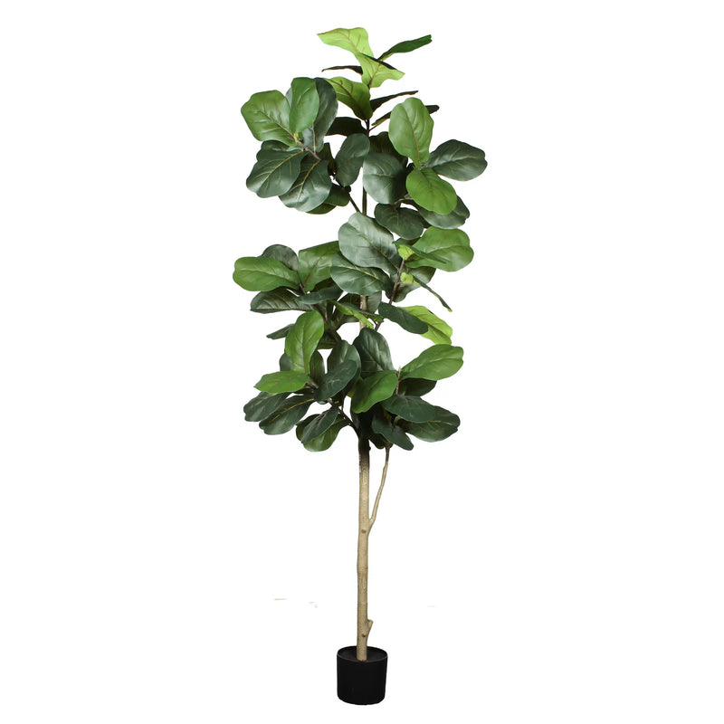 7' Artificial Fiddle Leaf Fig Tree in Black Plastic Pot
