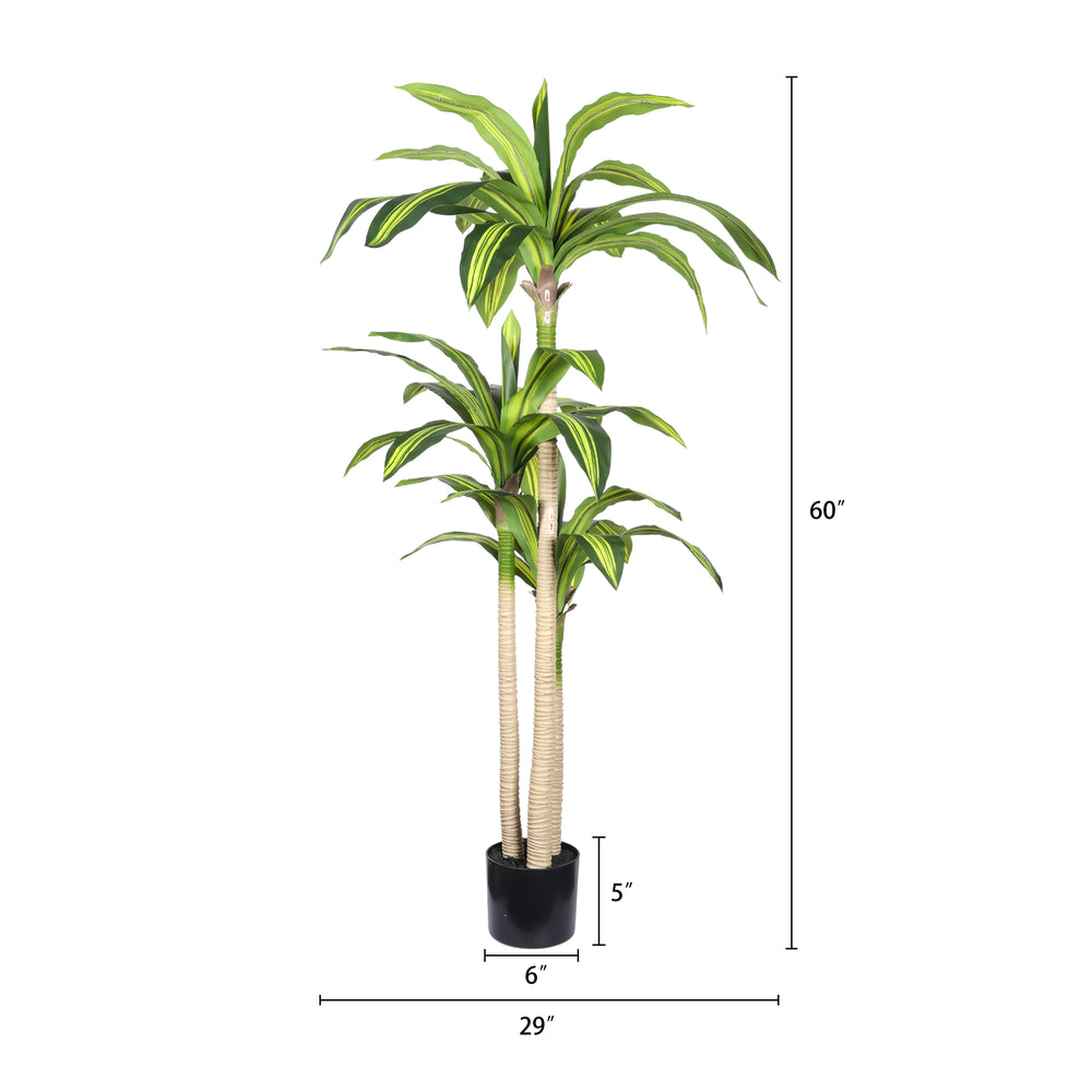5' Artificial Dracaena Tree with Black Plastic Pot, 1pc/set Media 5