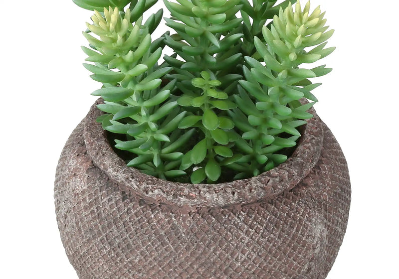 Artificial Plant, Set Of 2, 8' Tall, Succulent, Table, Brown Cement Pots, Contemporary, Modern