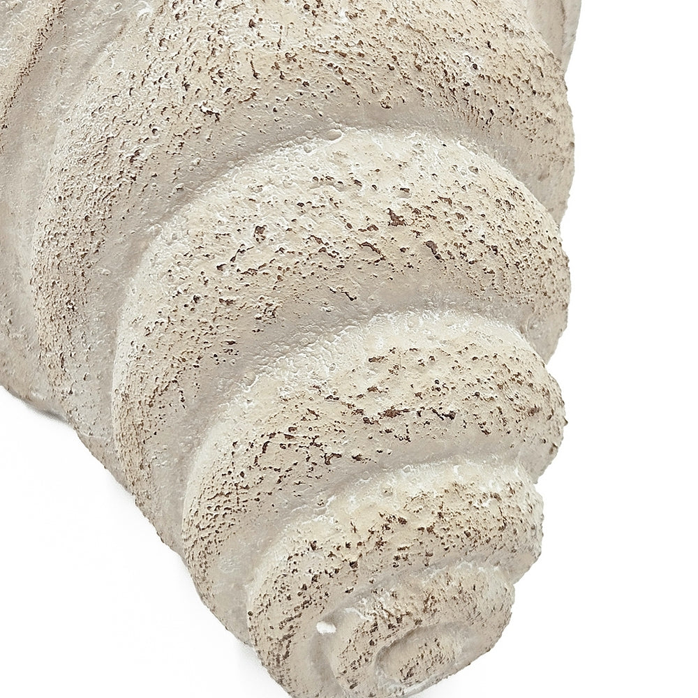 11.5x7x7' Sand and Cement Nautilus Shell Planter with Textured Beige Finish Media 7