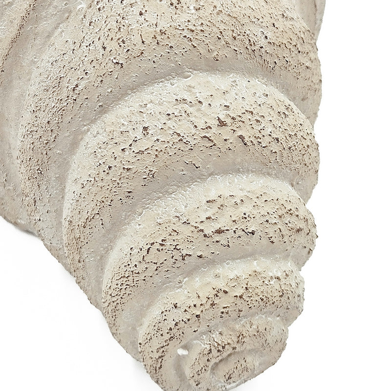11.5x7x7' Sand and Cement Nautilus Shell Planter with Textured Beige Finish