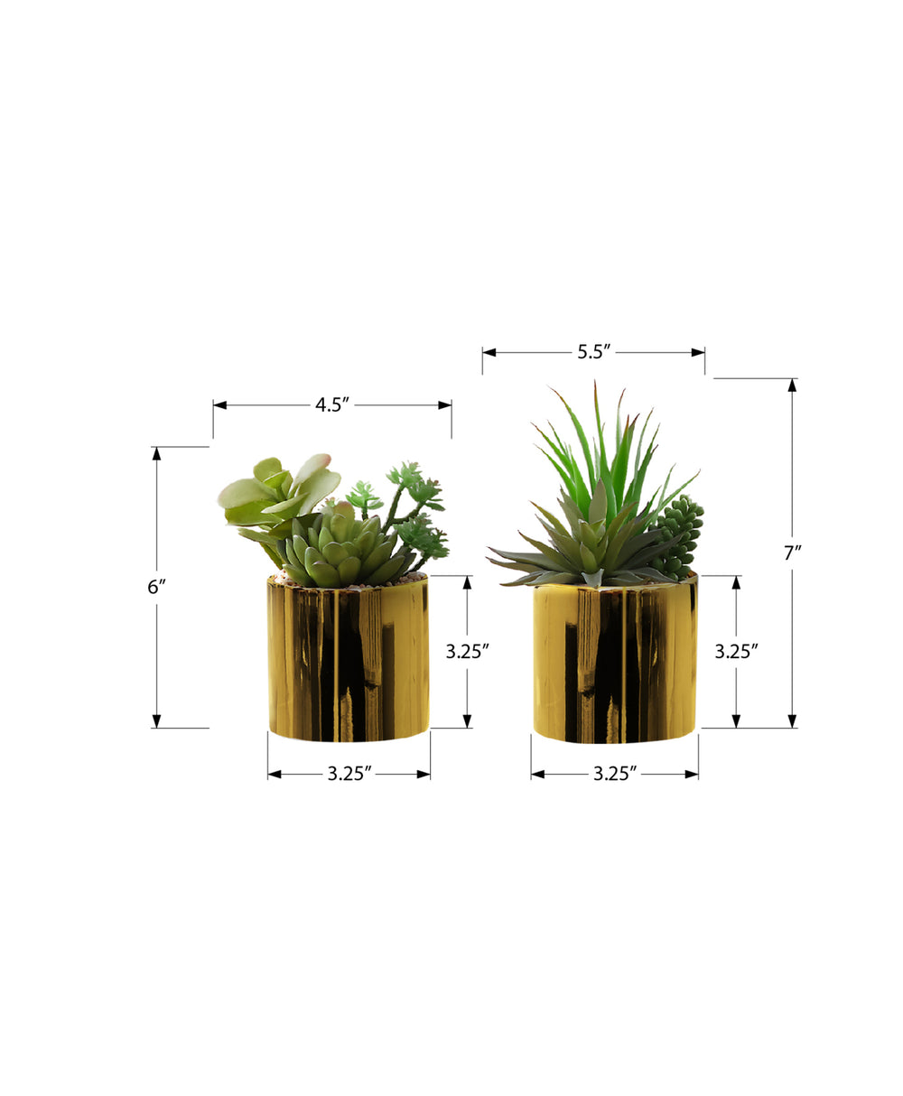 Artificial Plant, 7' Tall, Succulent, Indoor, Faux, Fake, Table, Greenery, Potted, Set Of 2, Decorative, Green Plants, Glossy Gold Pots Media 4