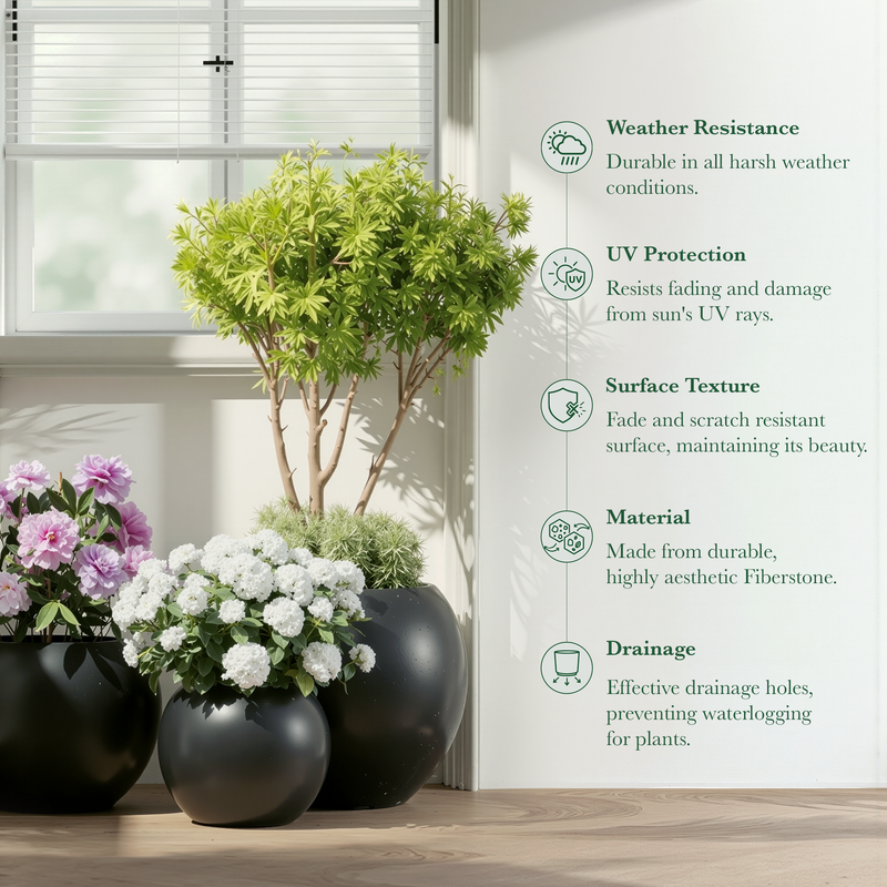 DTY Fiberstone Globe Planter Indoor Outdoor — Lightweight Sphere Ball Pot for Olive Tree, Monstera & Palm | Fiberglass Stone | UV Resistant, Drainage Hole | 2 Coco Mats | Black | 12.6" D × 10" H