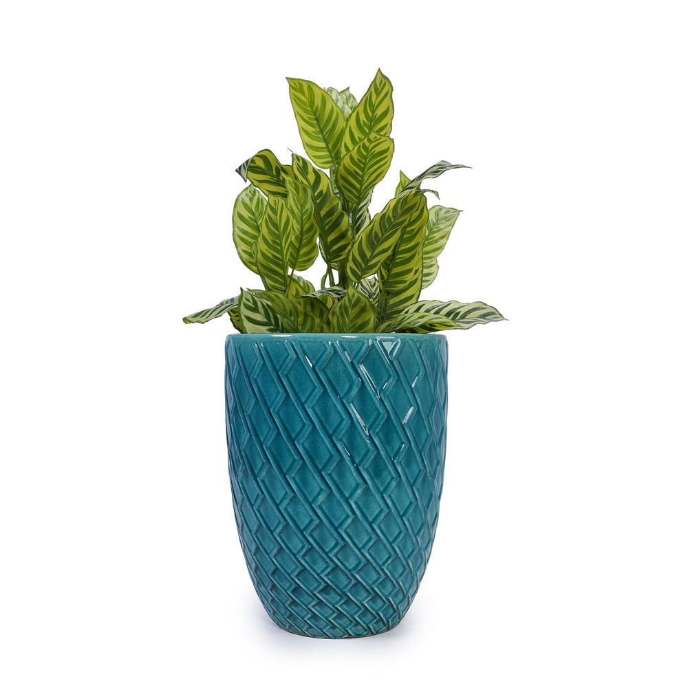 Ceramic Flowerpot, Modern Planter for Patio, Garden, Windowsill - Cyan Media 5