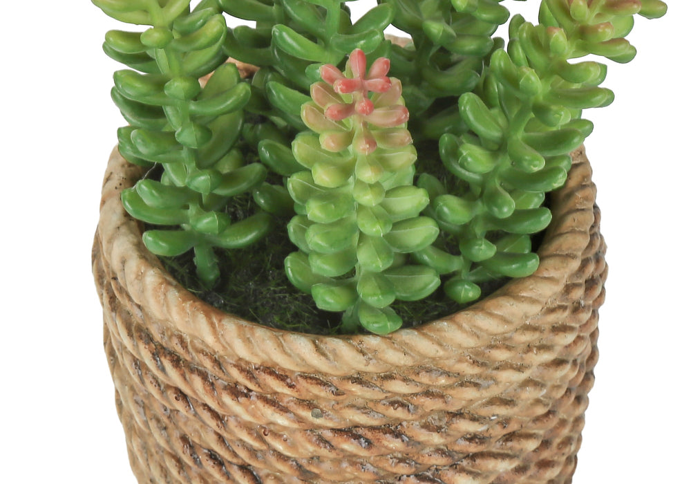 Artificial Plant, Set Of 2, 7' Tall, Succulent, Table, Brown Cement Pots, Contemporary, Modern Media 6