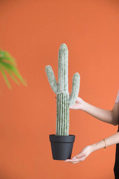 8x5x24.5'H Artificial Saguaro Cactus in Black Pot perspective