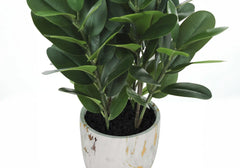 Artificial Plant, 31' Tall, Garcinia Tree, Indoor, Faux, Fake, Floor, Greenery, Potted, Real Touch, Decorative, Green Leaves, White Cement Pot perspective