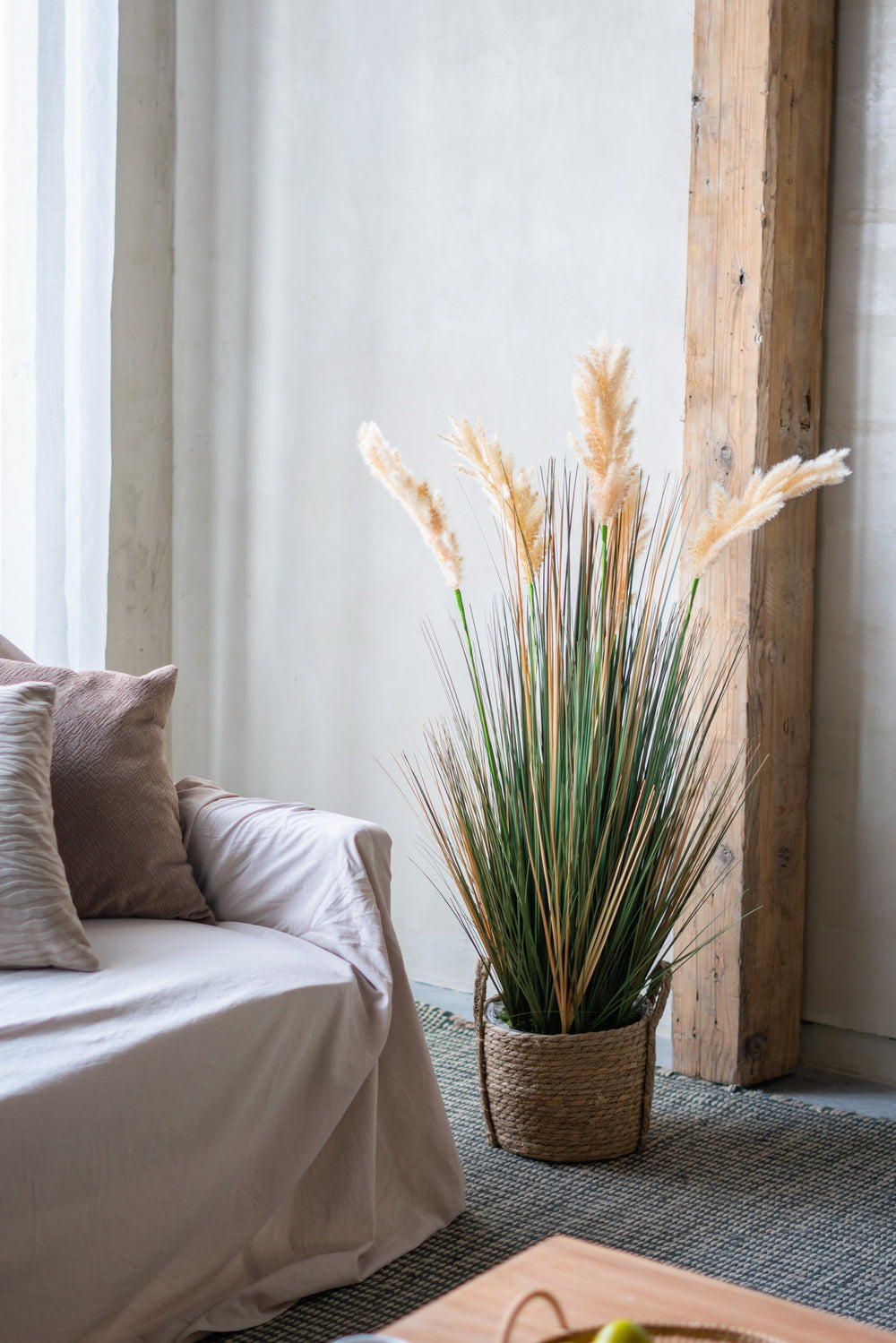 D14x45'H Potted Pampas Grass Plant Media 3