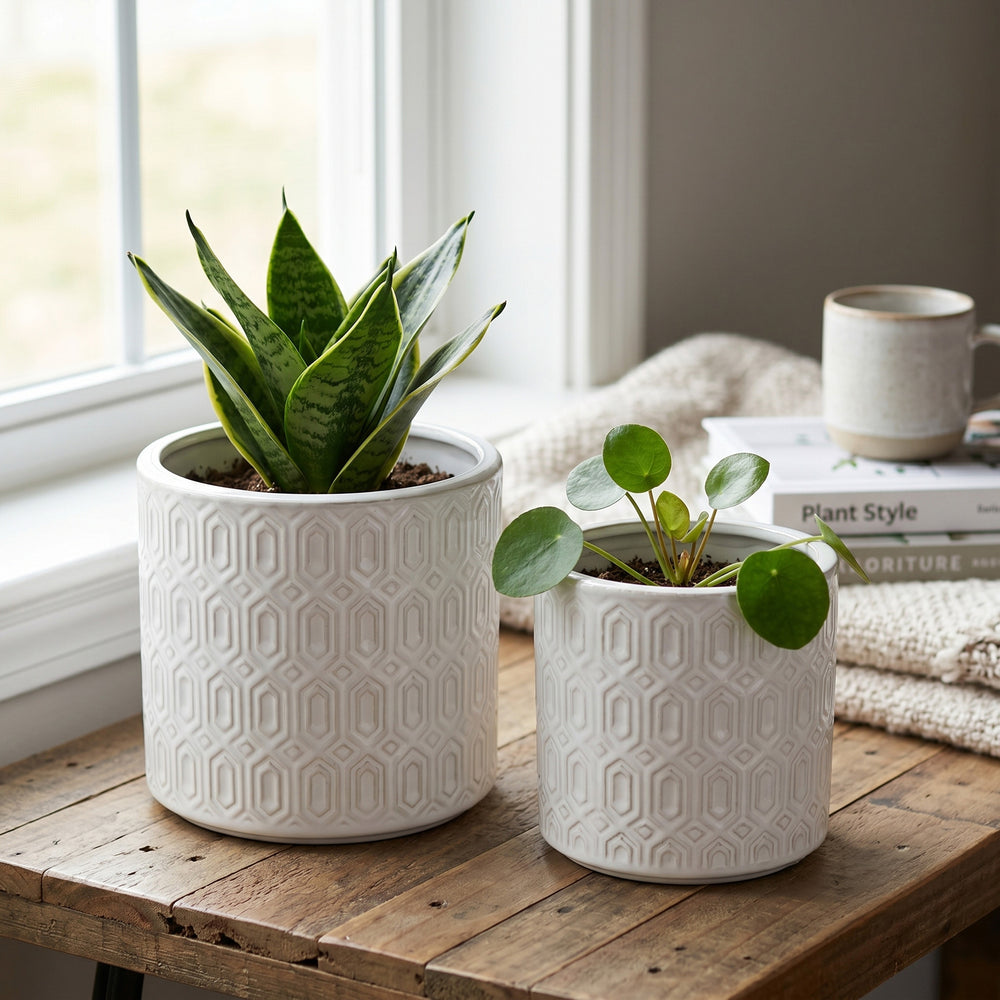 S/2 White Ceramic Planters with Geometric Motifs Media 1